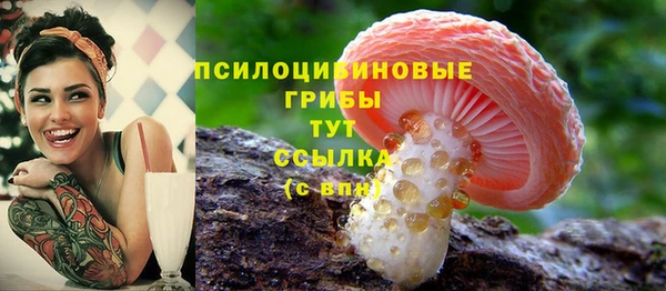 прущий лед Абинск