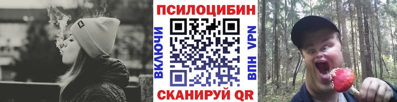 Галлюциногенные грибы GOLDEN TEACHER  Приволжский 