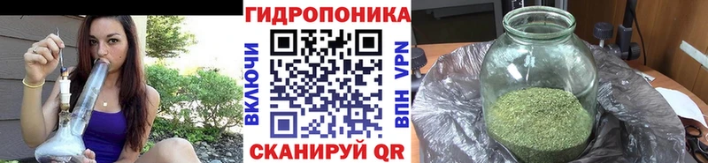 Марихуана гибрид блэк спрут tor Приволжский